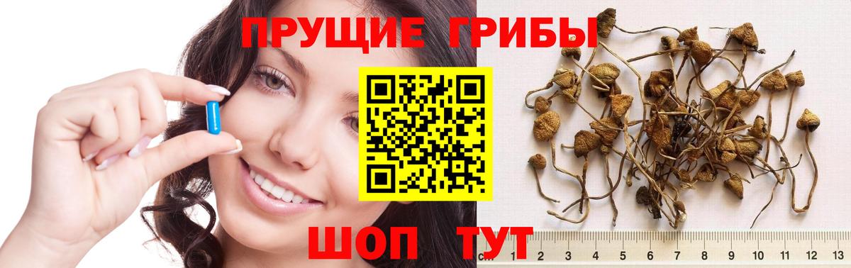 Псилоцибиновые грибы мухоморы Жигулёвск