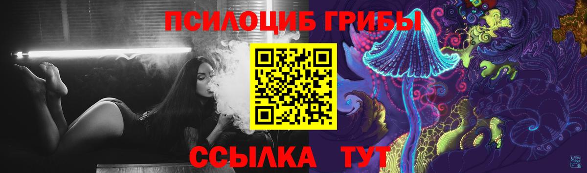 Галлюциногенные грибы GOLDEN TEACHER  Вход с VPN  Галлюциногенные грибы Psilocybe  Жигулёвск 